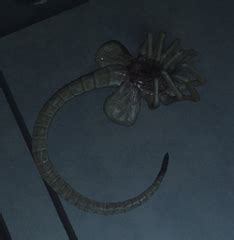 alien isolation facehugger